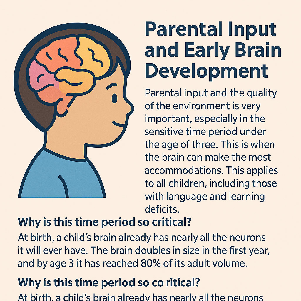 Early brain growth and development
